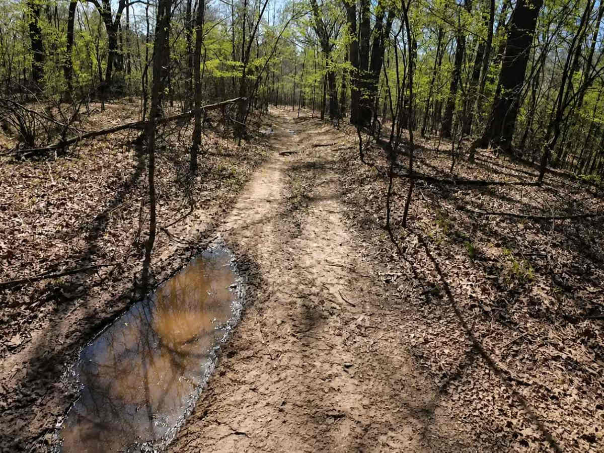 Ark Island Trail photo 2