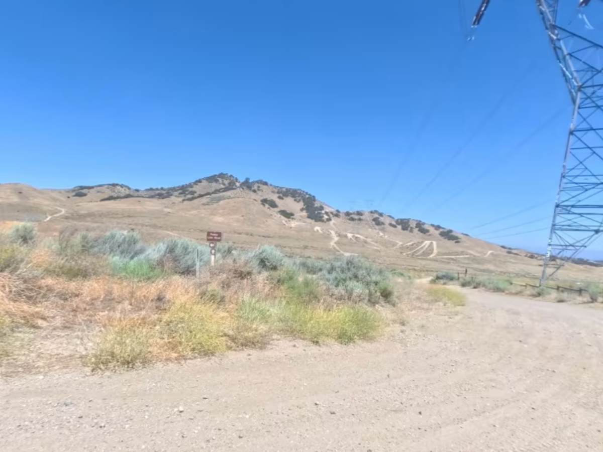 Powerline Road photo 6