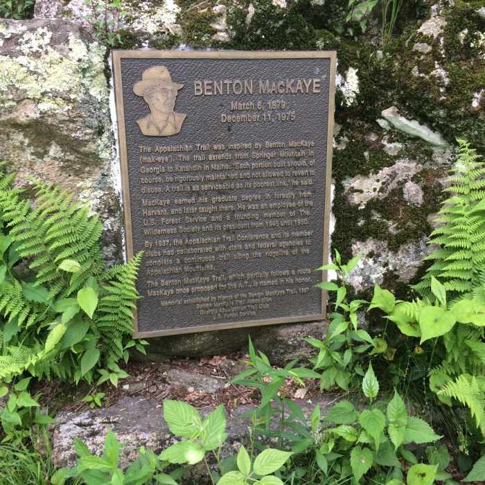 Near Springer Mountain