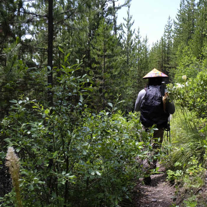 Near Quartz Lake Loop