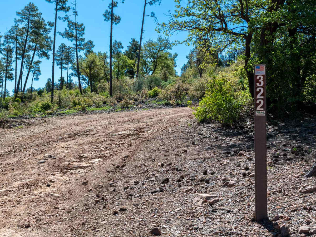 Cedar Mesa - FS 322 trail photo