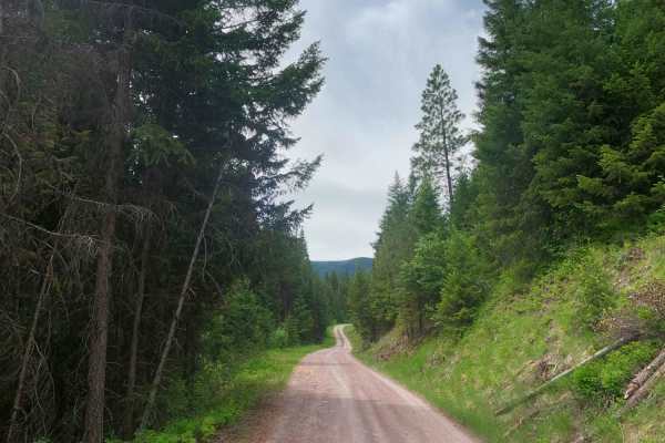 West Fork Petty Creek Road 22