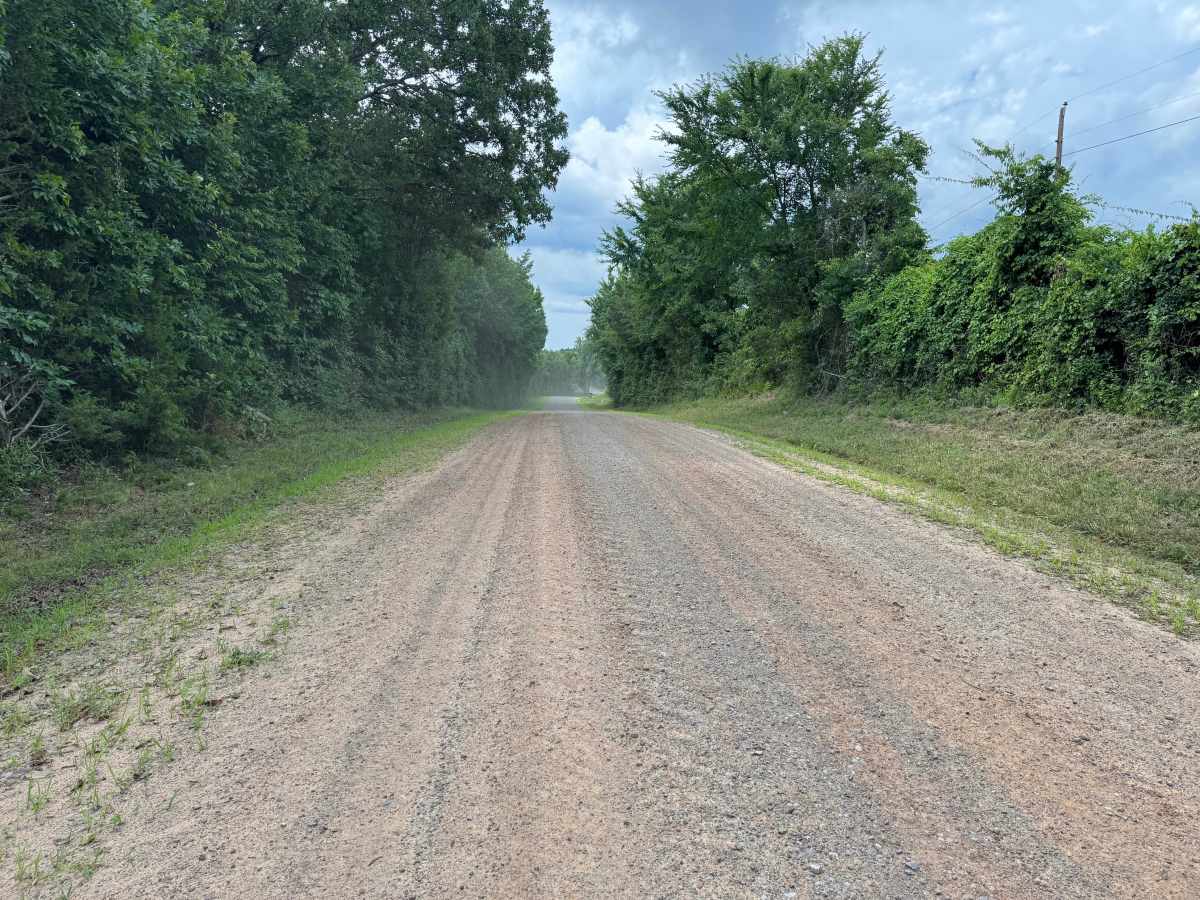 County Road 3851 photo 3