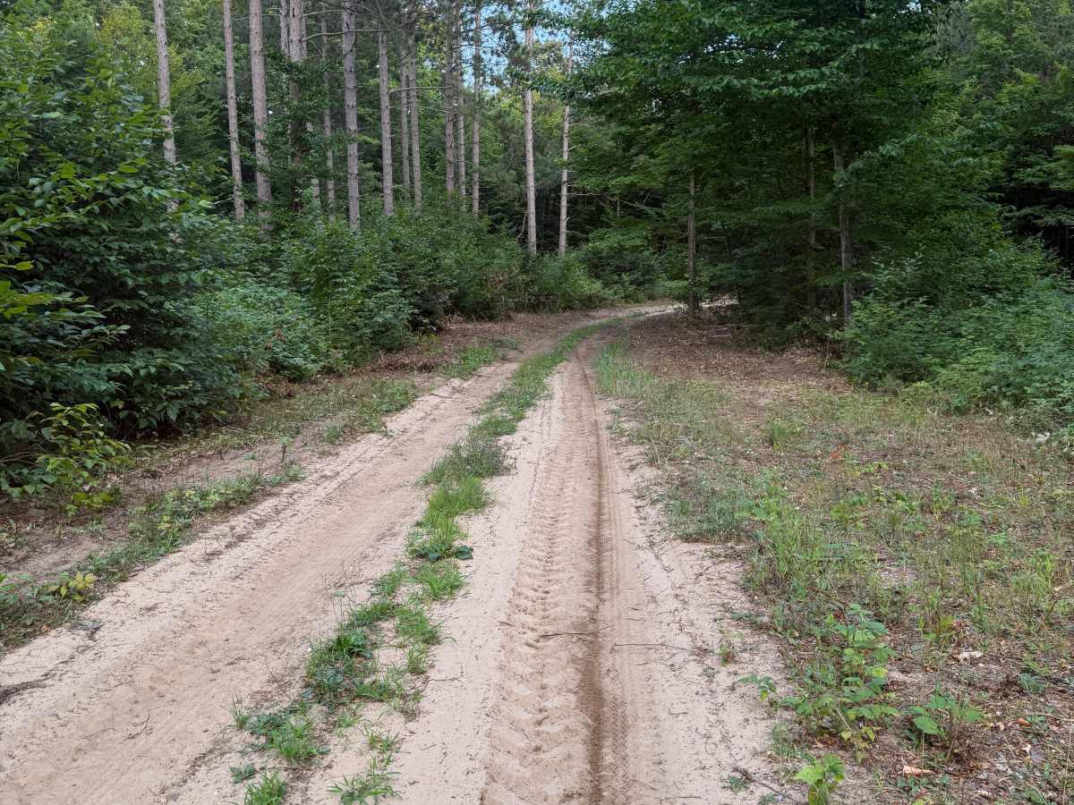 N 5 Trail photo 5