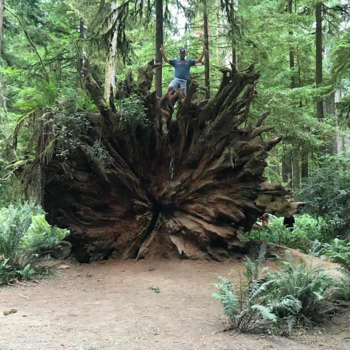 Near Simpson-Reed Trail