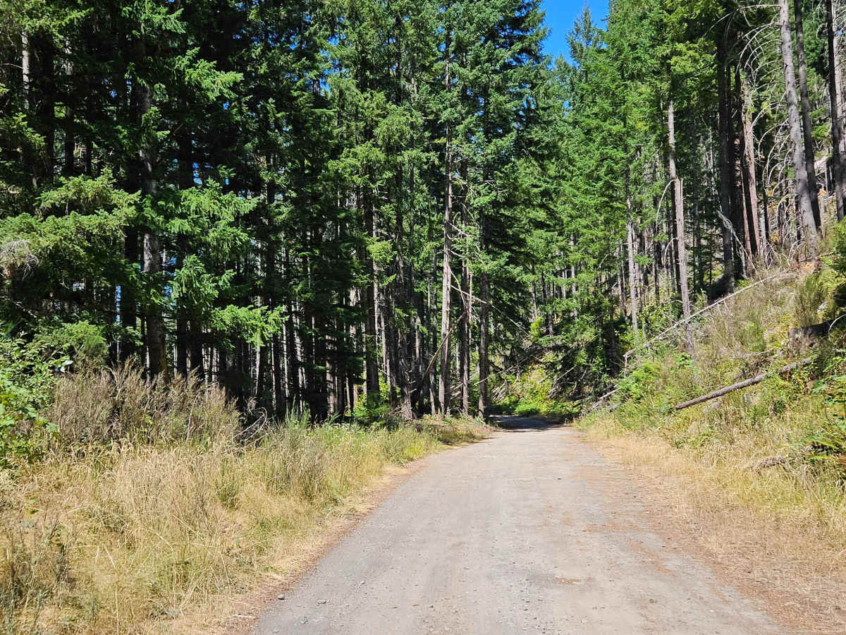 FS 1900500 photo 2