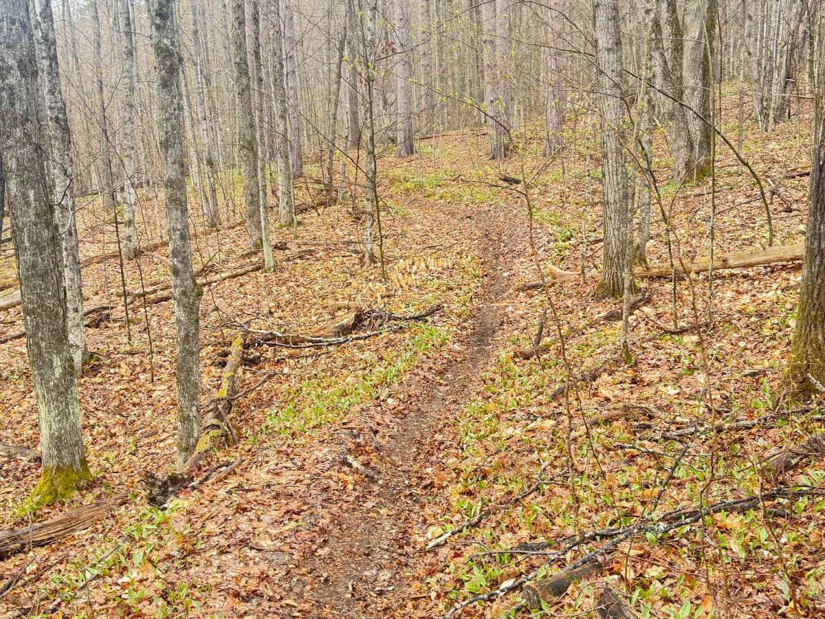 Tomahawk C loop Southeast Leg photo 4