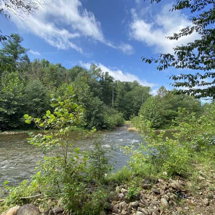 Near Blue Dot Trail