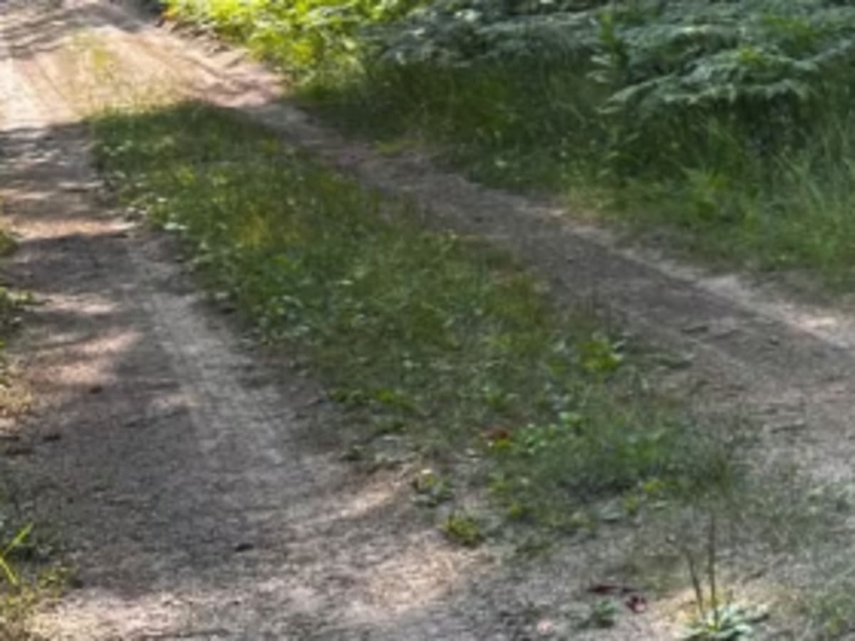 Trail 10 photo 4