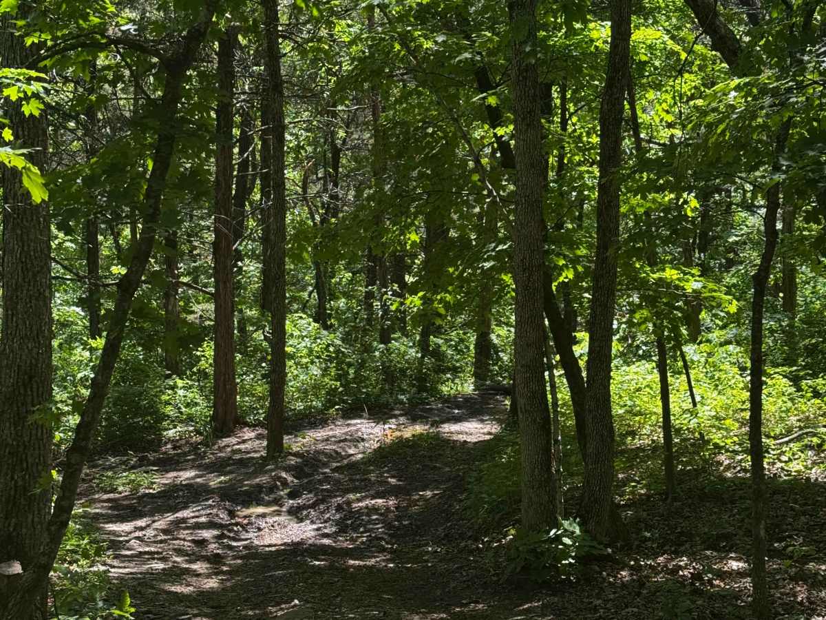 Inner Vein 69 trail photo