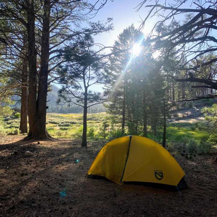 Near Manter Meadow Hike