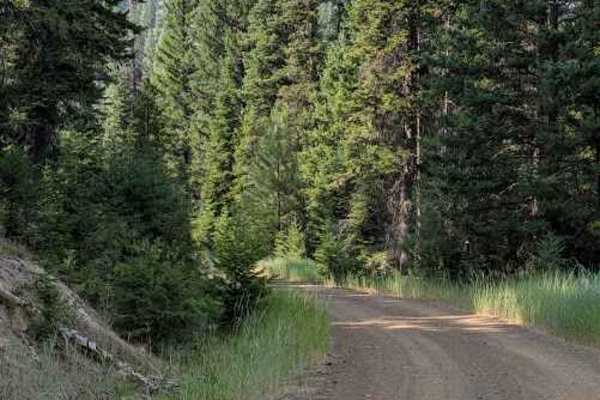 Medecine Creek - FS 9738130