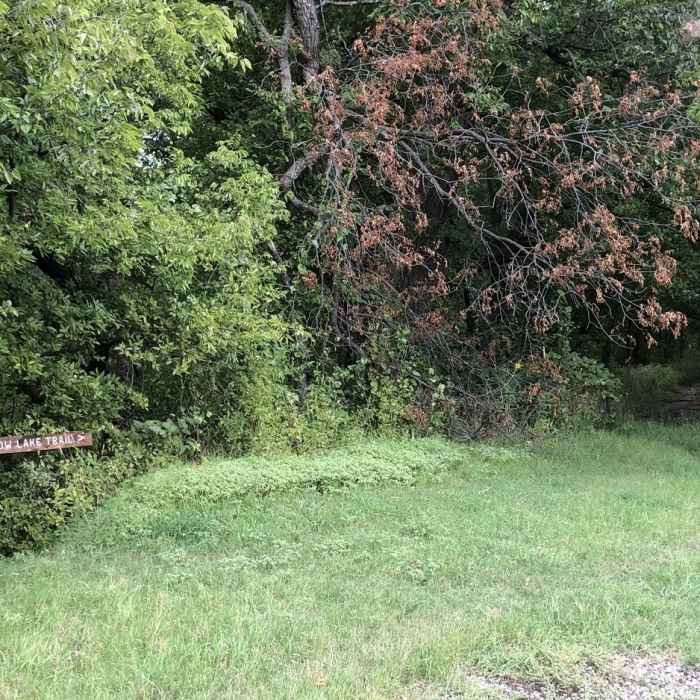 Near Lake Yahola Perimeter Trail