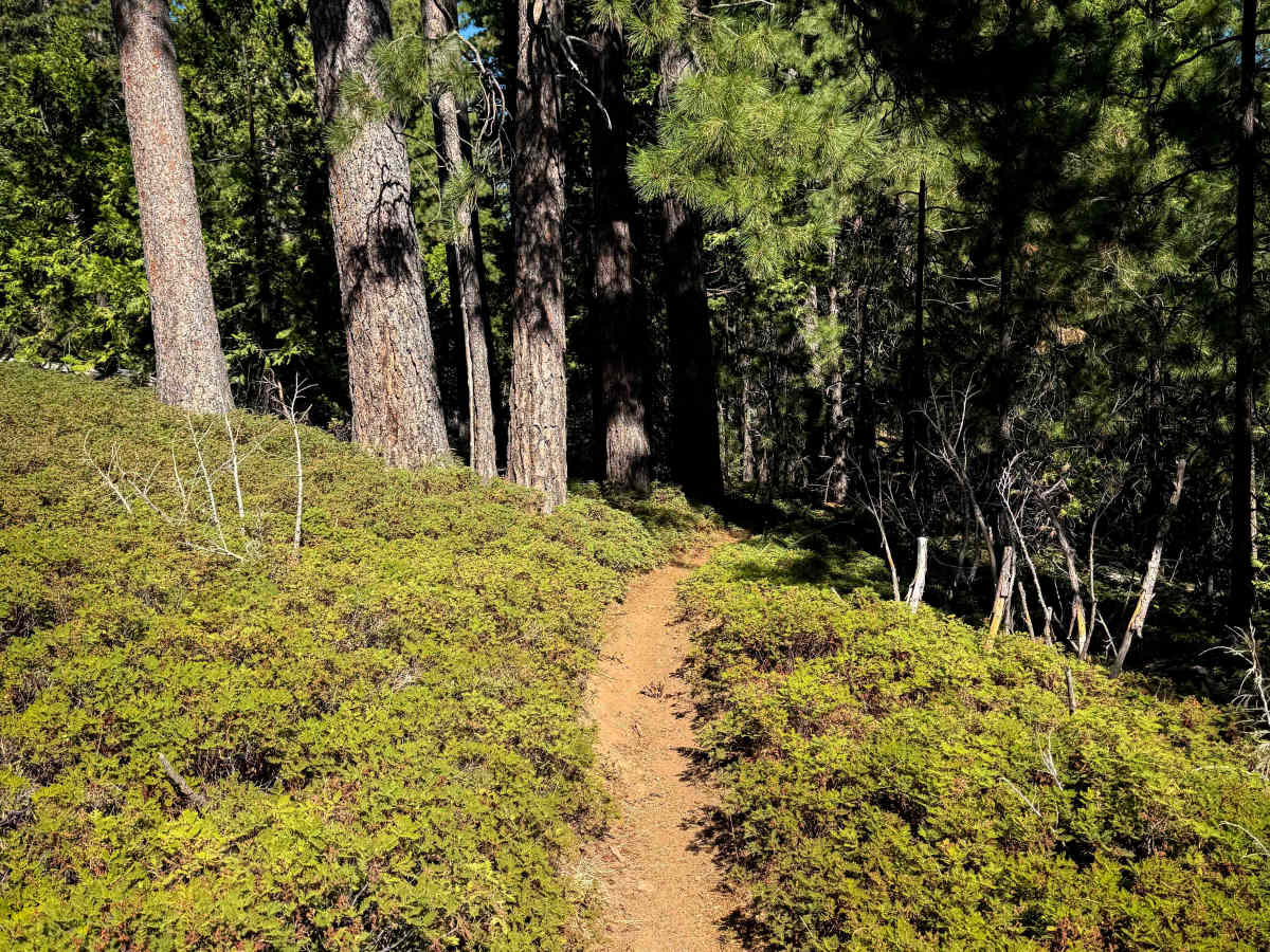 16EV177 trail photo