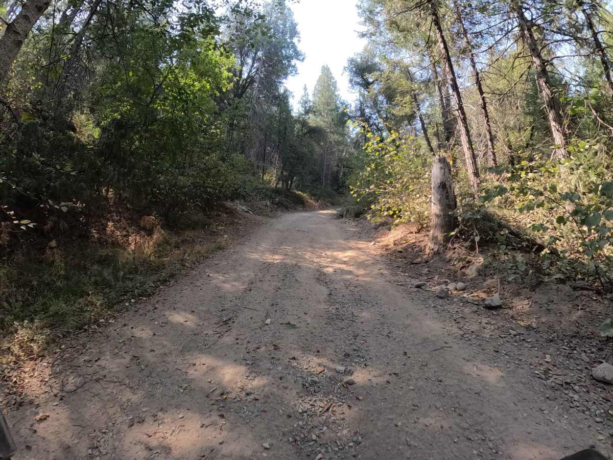 Ponderosa Fire Line - Lower - FS 6S017 photo 5