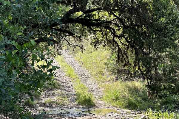 North Pasture Trail