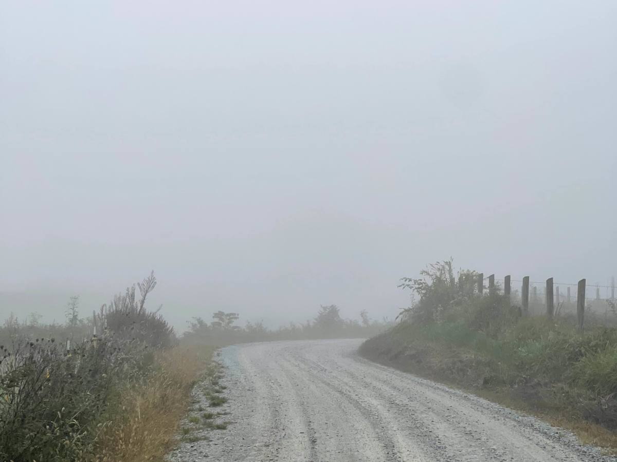 Watauga River Road photo 3