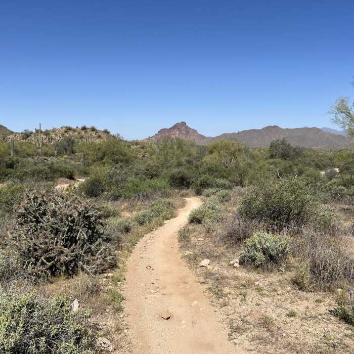 Near Wild Horse - Stinger Loop Near Wild Horse - Stinger Loop