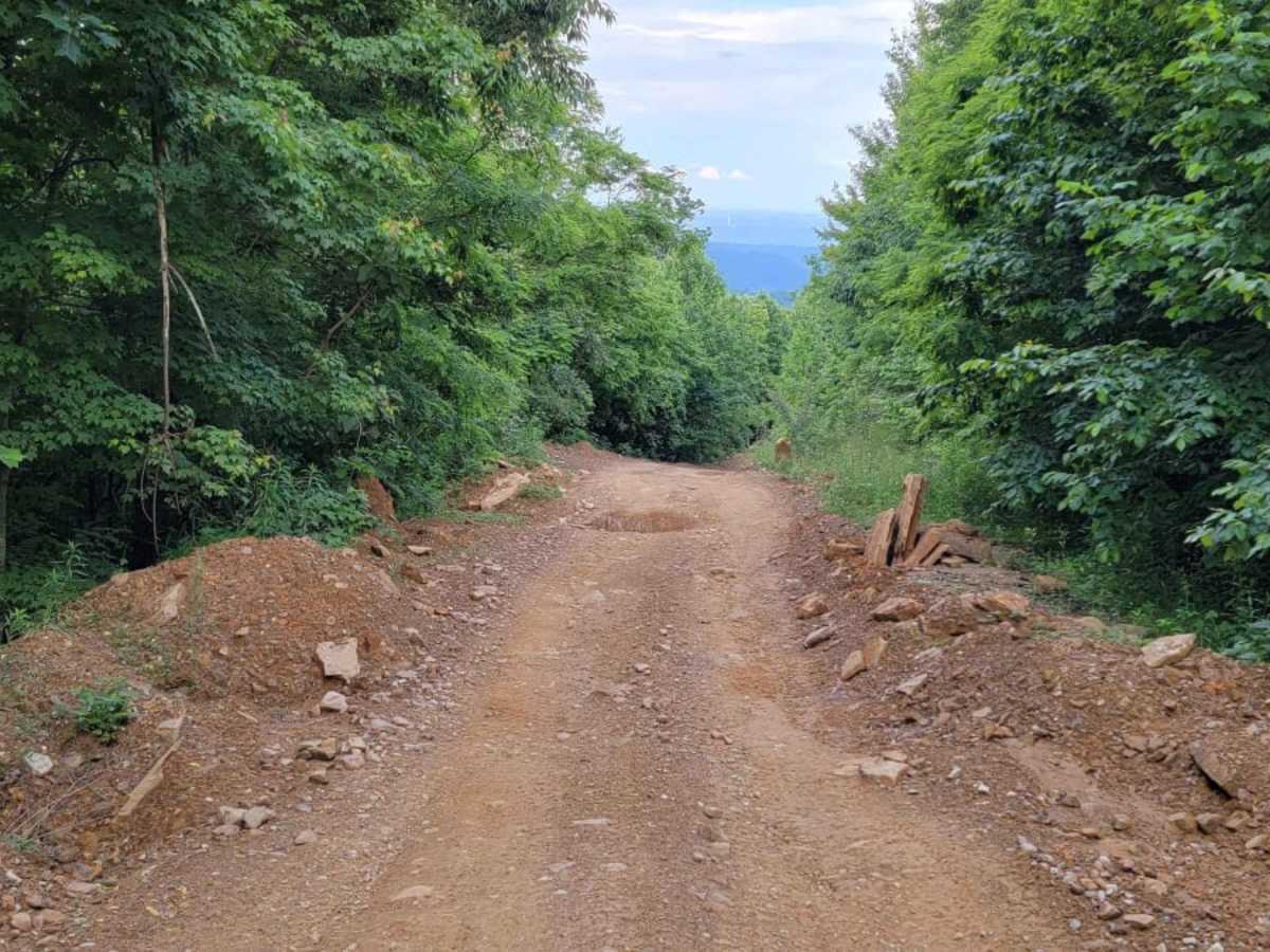 Trail 22 photo 6