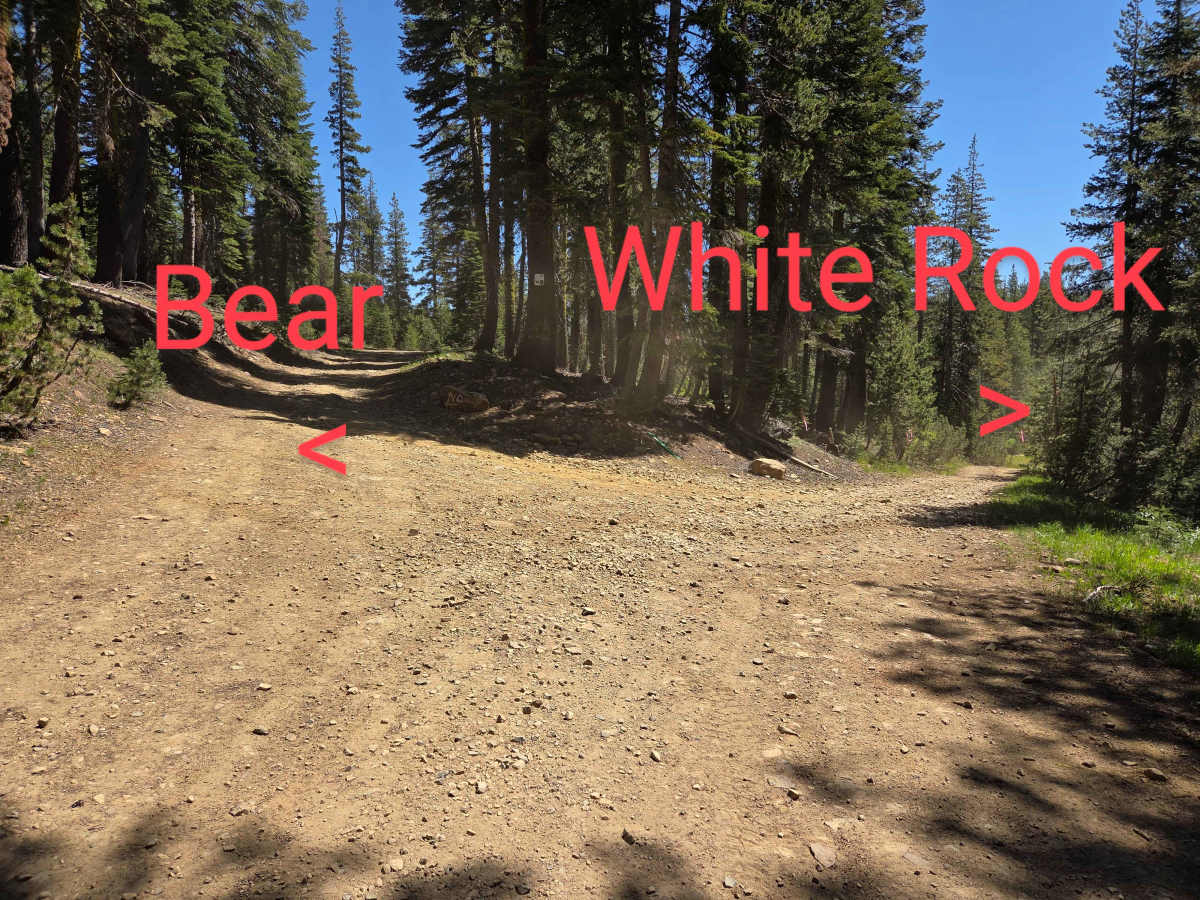 Bear Valley Loop photo 2