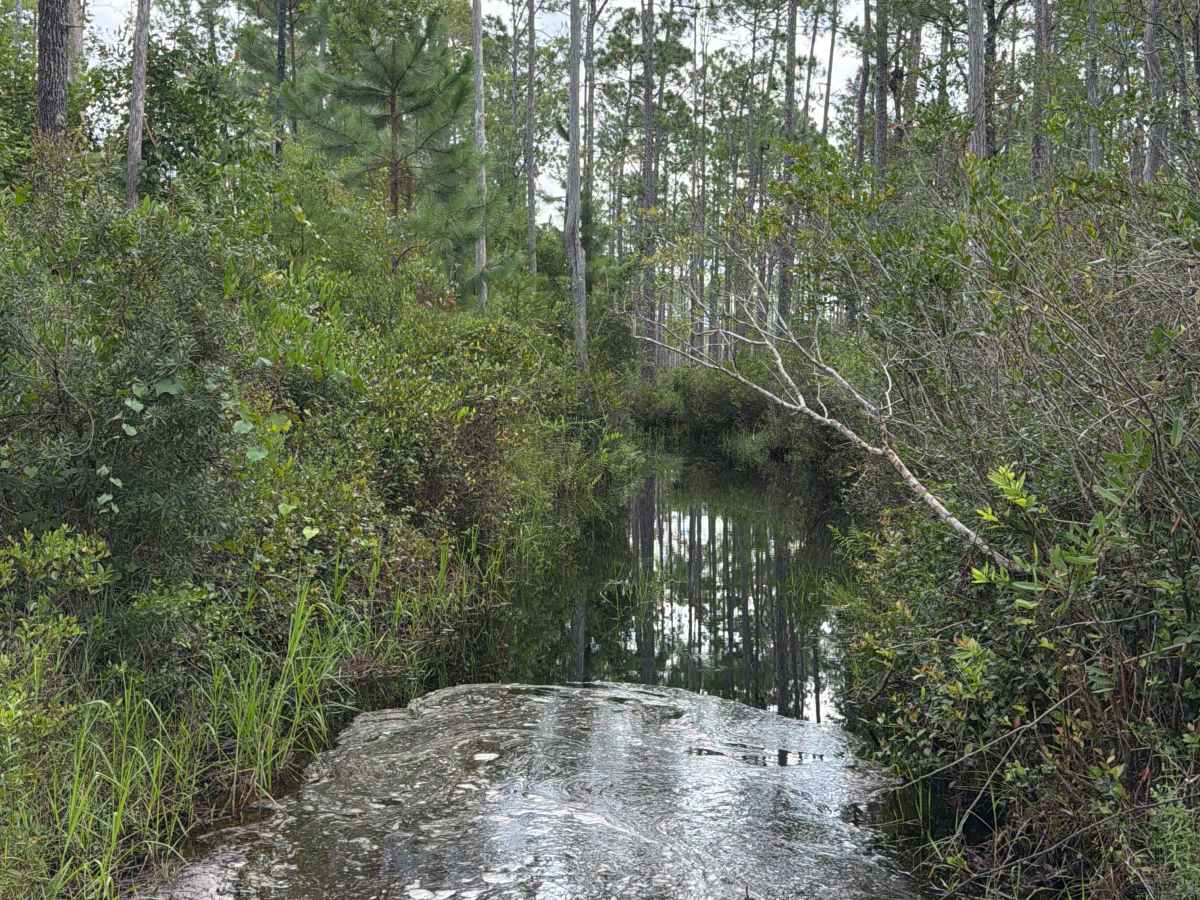 Osceola 277-B photo 4