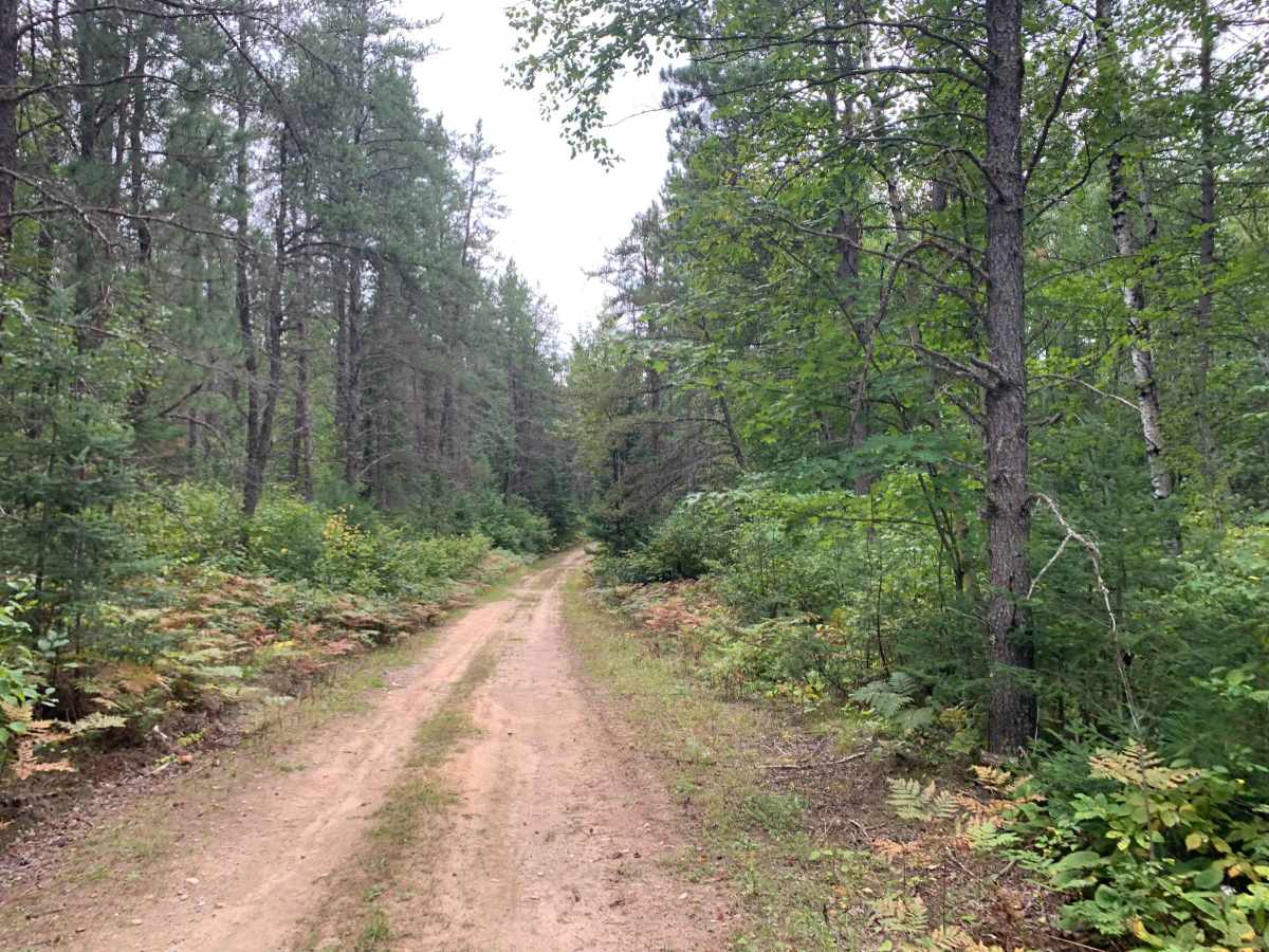 Samuelson Trail photo 5