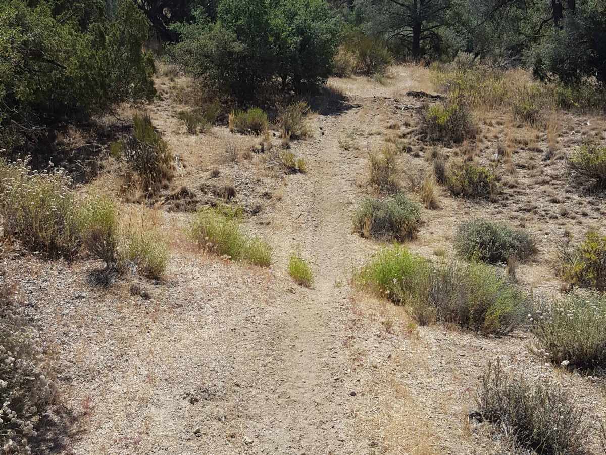 Trail 37 photo 4