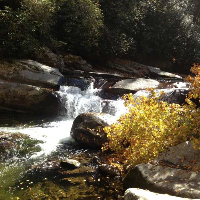 Near Big Creek Trail to Mouse Creek Falls Near Big Creek Trail to Mouse Creek Falls