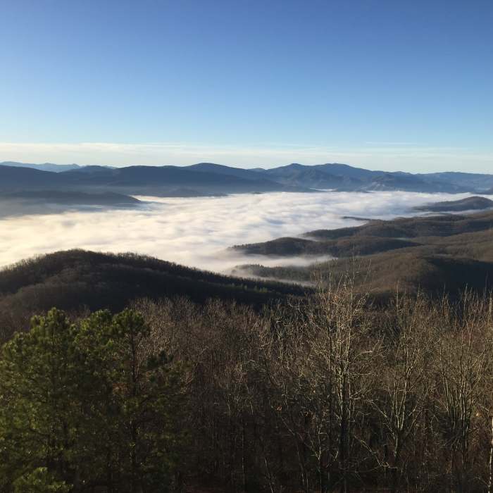 Near Pinnacle Mountain Tower Trail