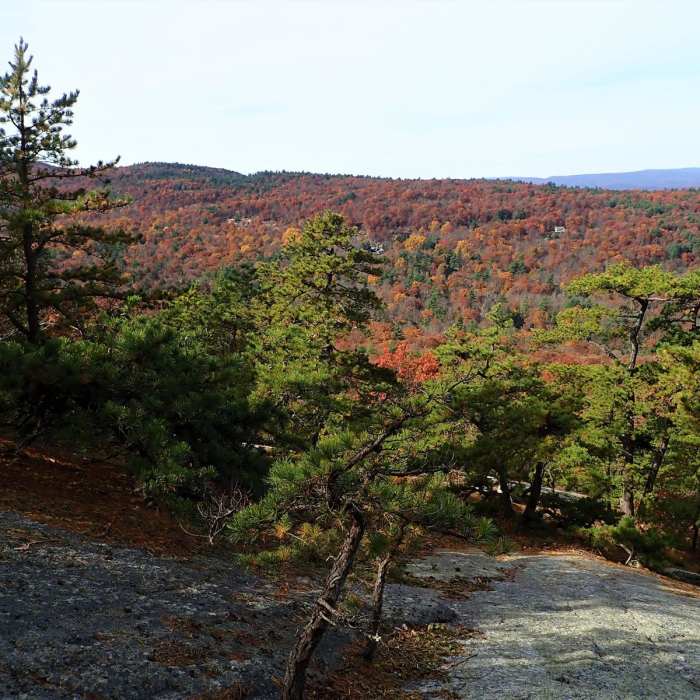 Near Shawangunk Ridge Trail: Mohonk Preserve Section