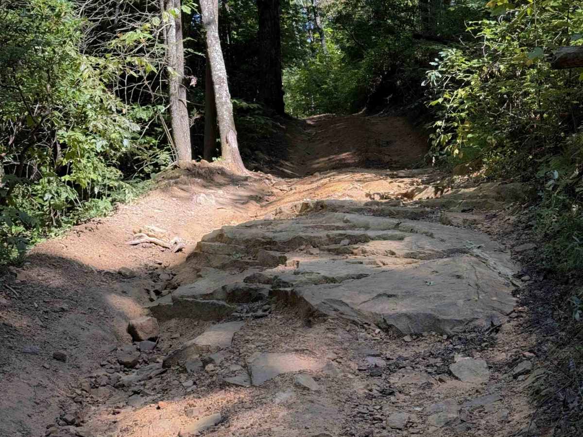 Muse Hollow Trail trail photo