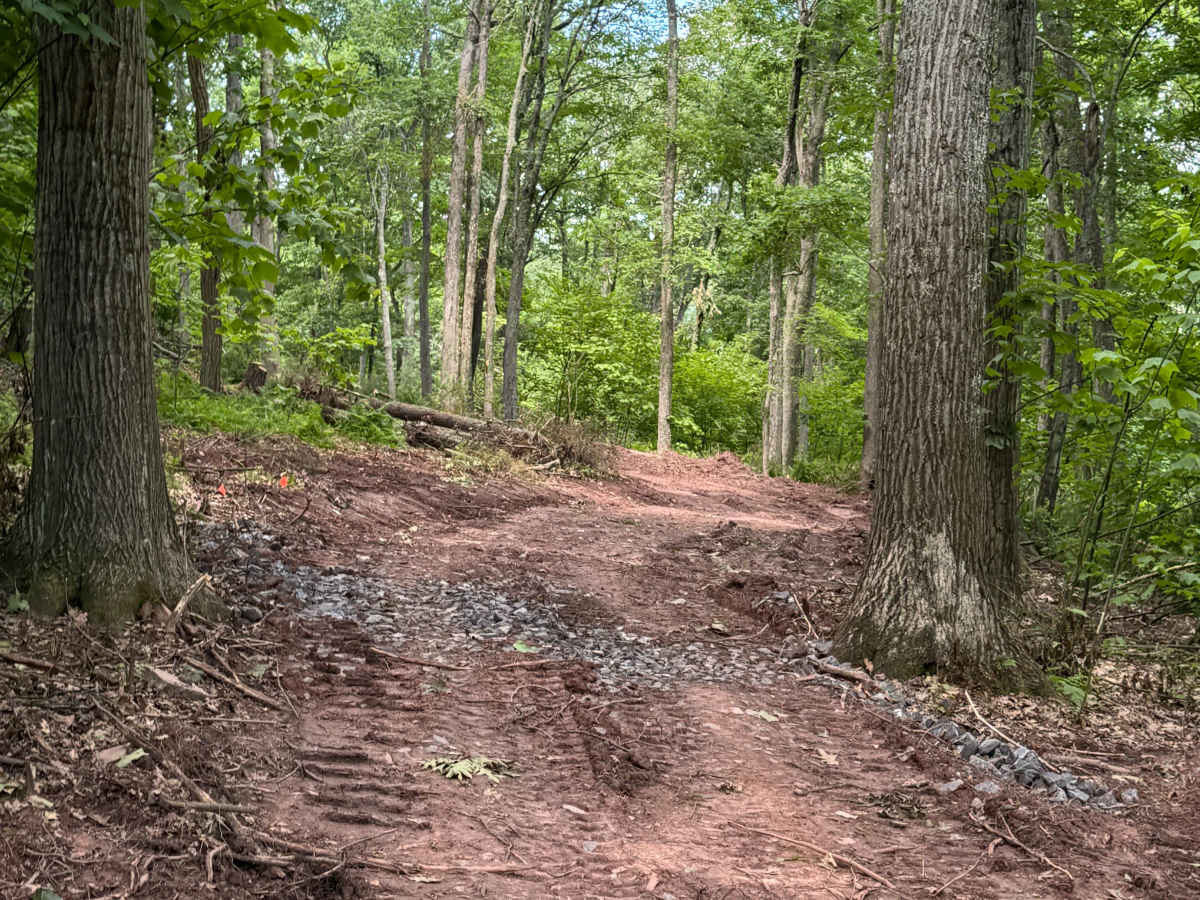 Bail-Out Trail Loop photo 6