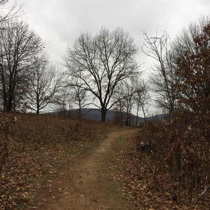 Near Ice Age Trail: Merrimac Segment