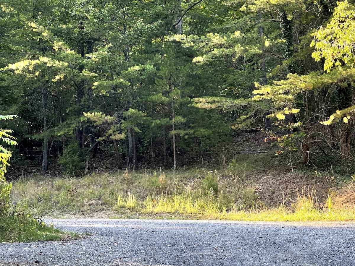 Mill Creek Road photo 5