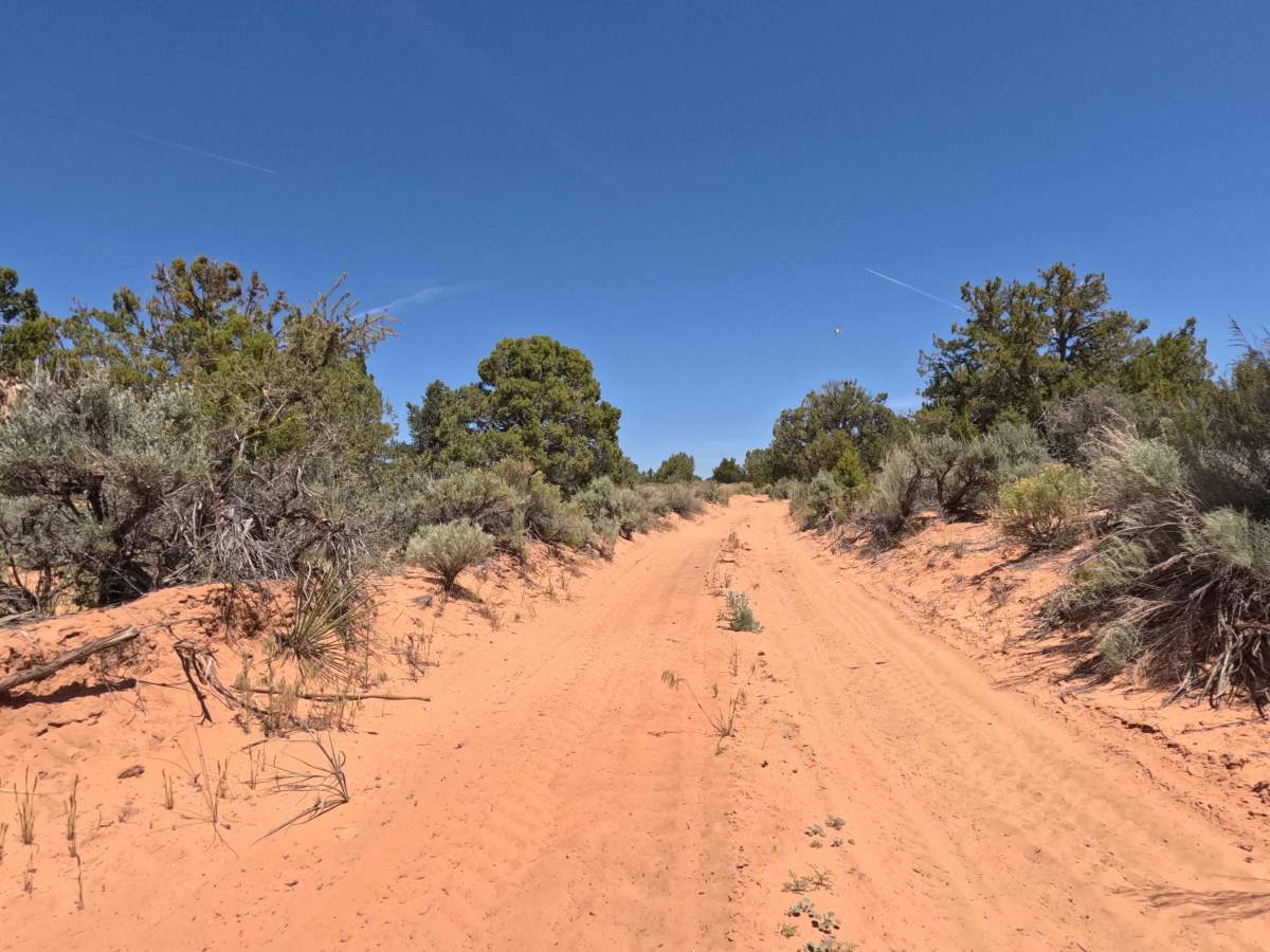 BLM 15 photo 6
