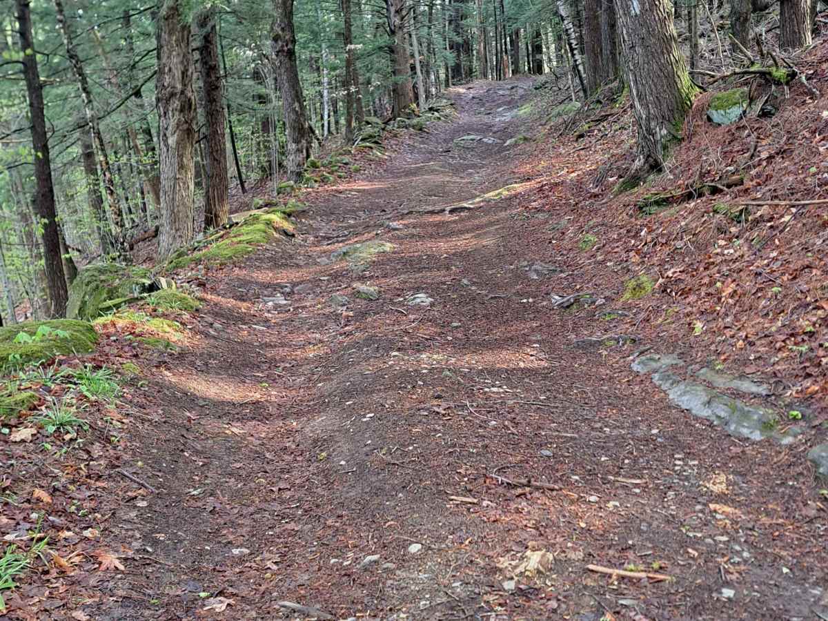 Burton Woods Road photo 5
