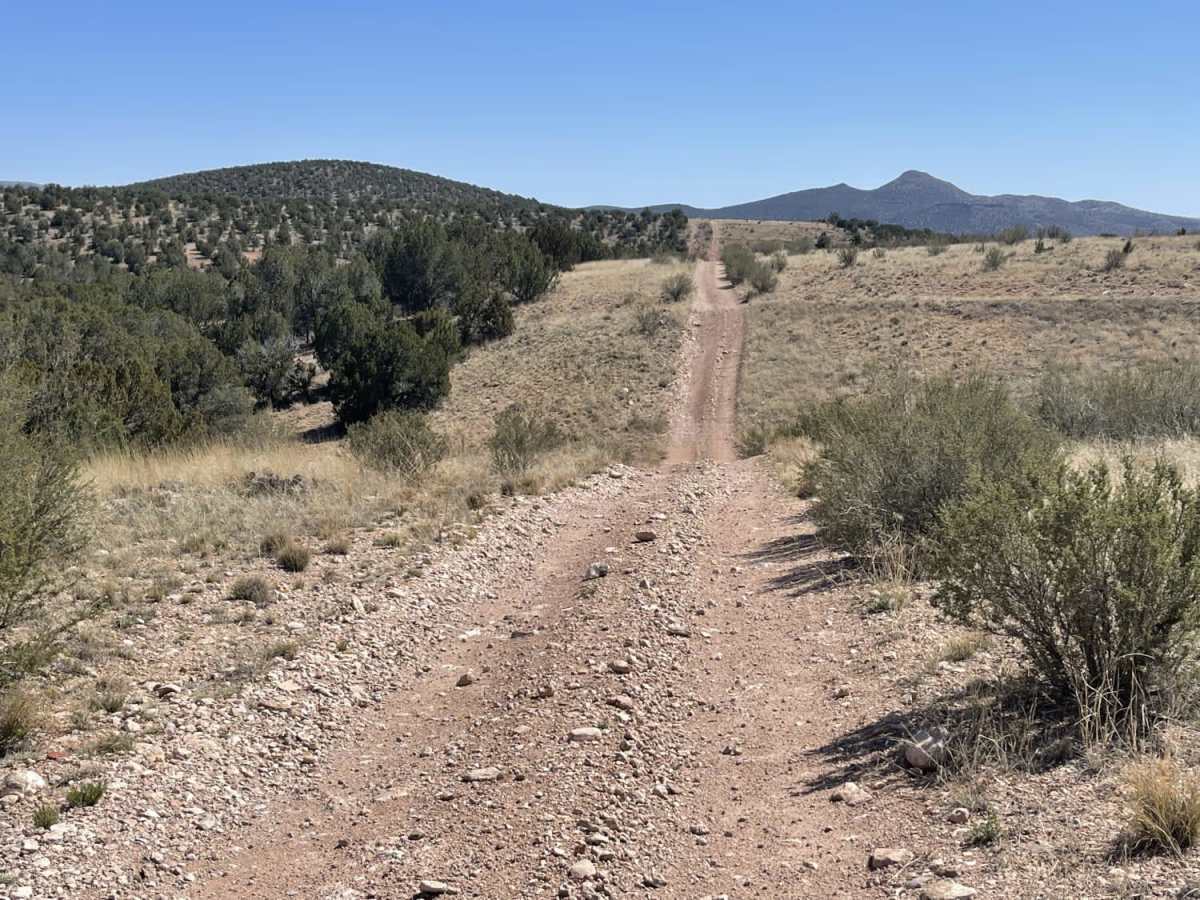 Muldoon's Dead End trail photo