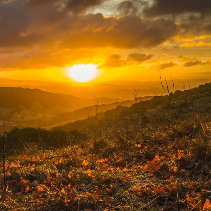 Near Elderberry - Rocky View - Cuestas Loop