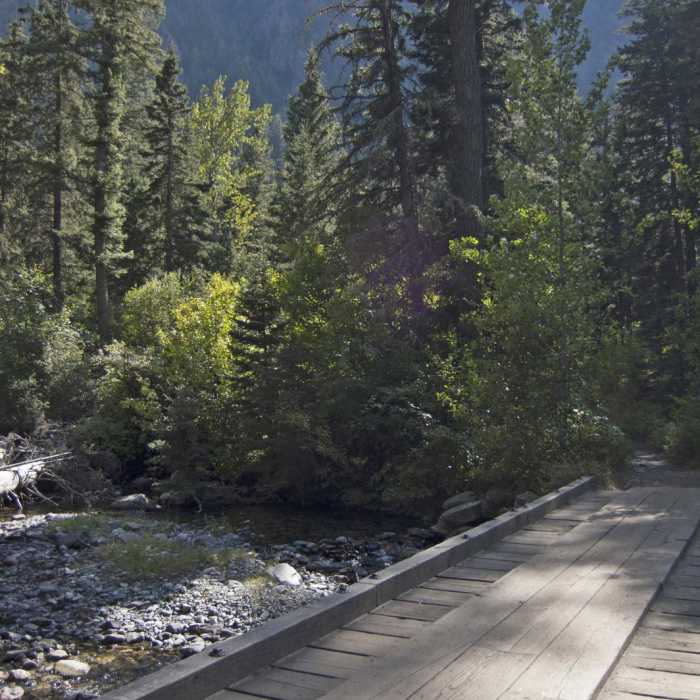 Near Pine Creek Lake