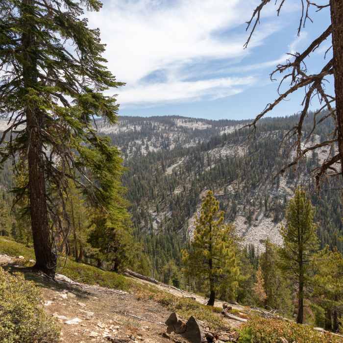 Near Weaver Lake Trail #30E09