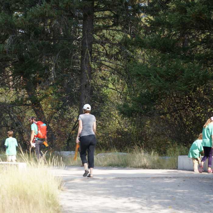 Near Stuart Peak Trail #517