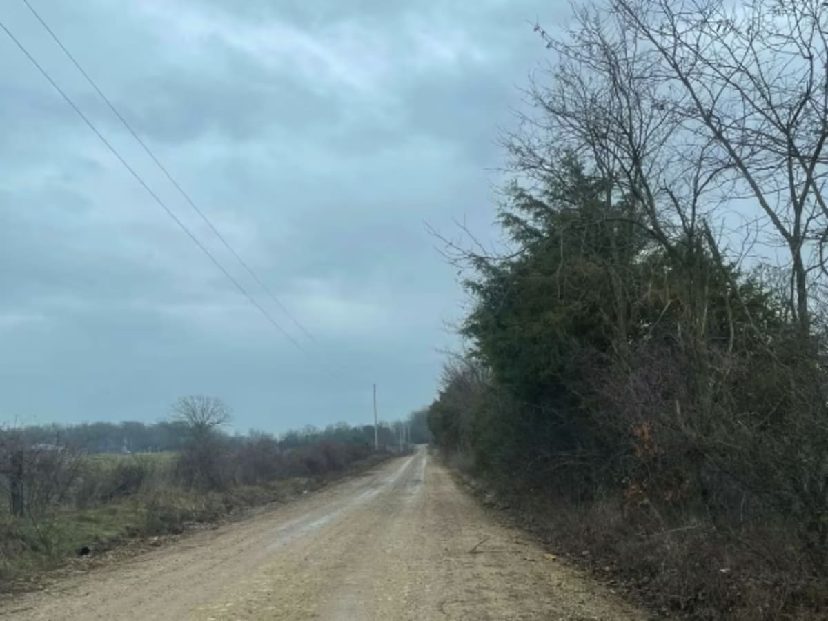 Ozark to Nettle photo 4