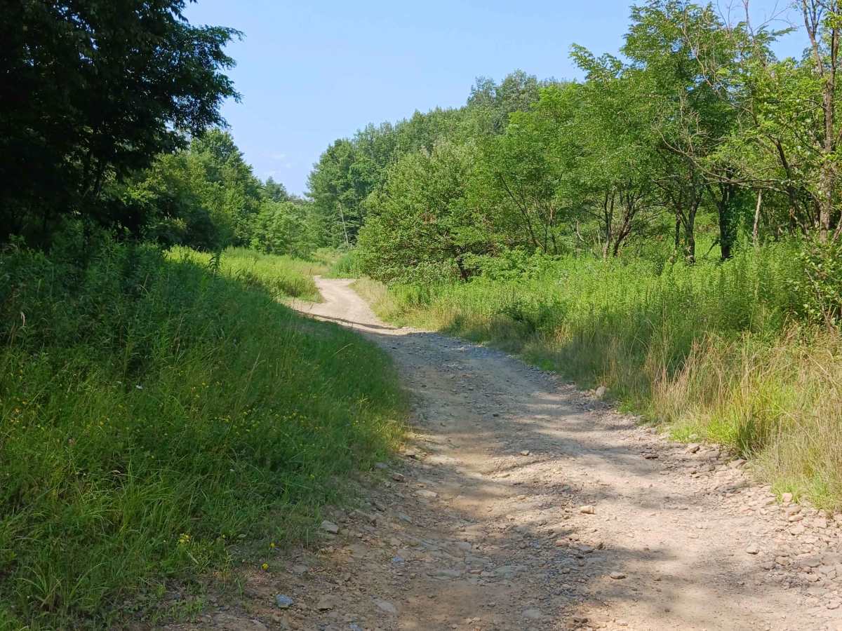 Lower Terrace Road - Rock Run Recreation Area photo 5