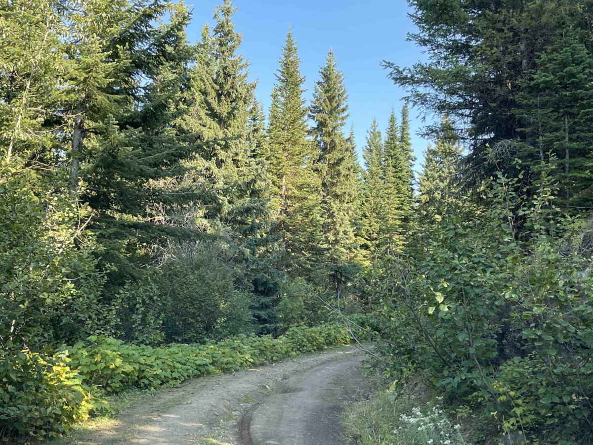 Loop Road photo 6