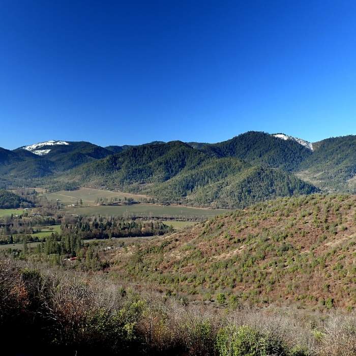 Near Sasquatch Trail