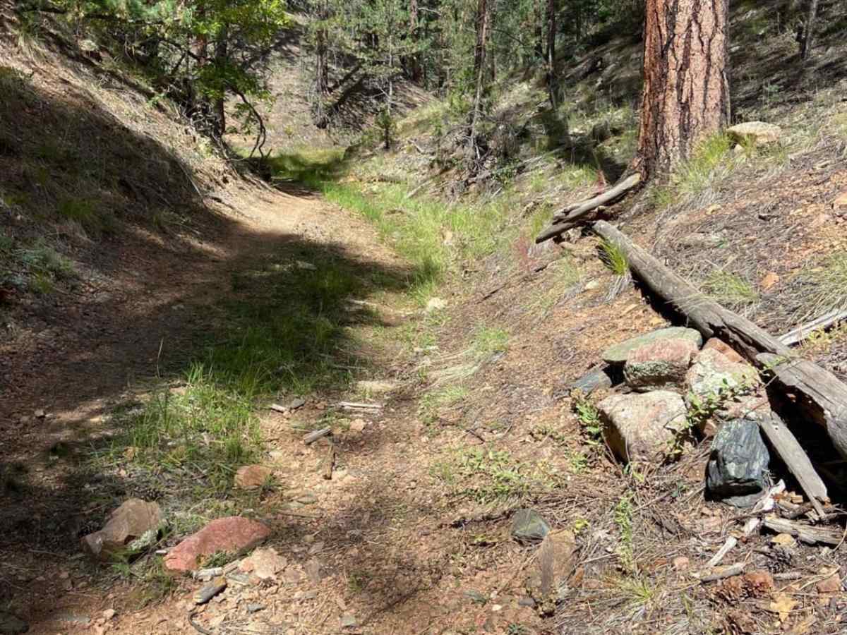 Arroyo Hondo Forest Service 79 photo 3