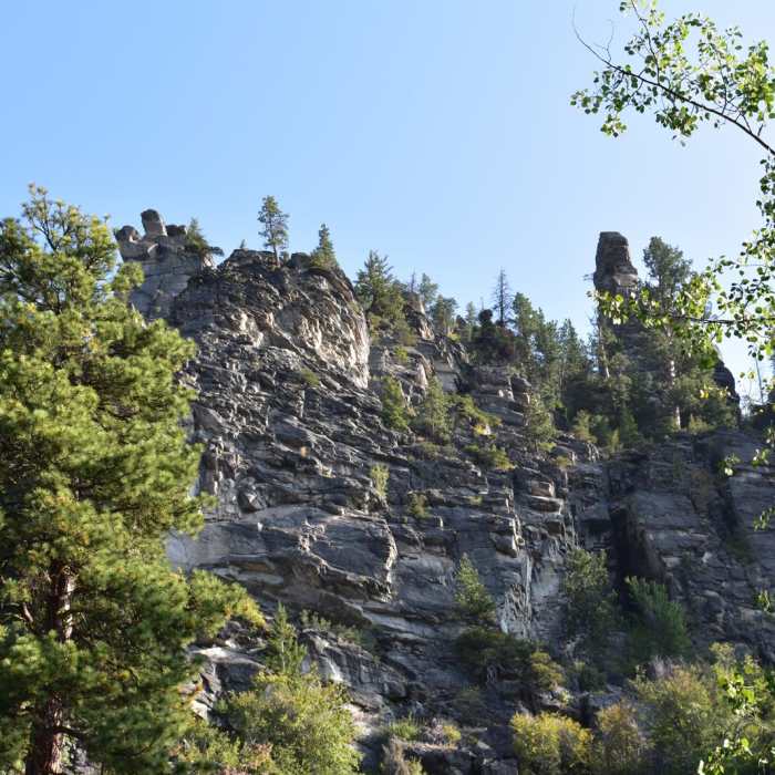 Near Canyon Creek Lake