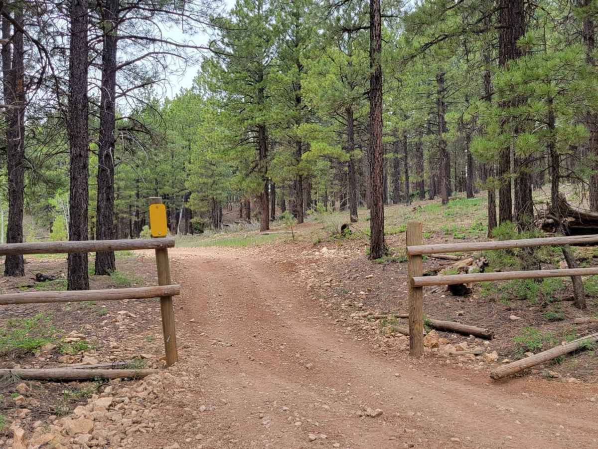 Tommy Loop Connector trail photo
