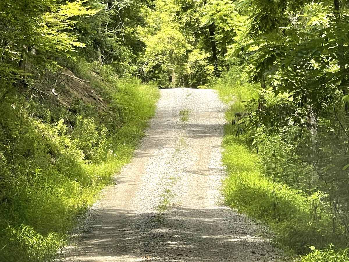 Bear Creek photo 3