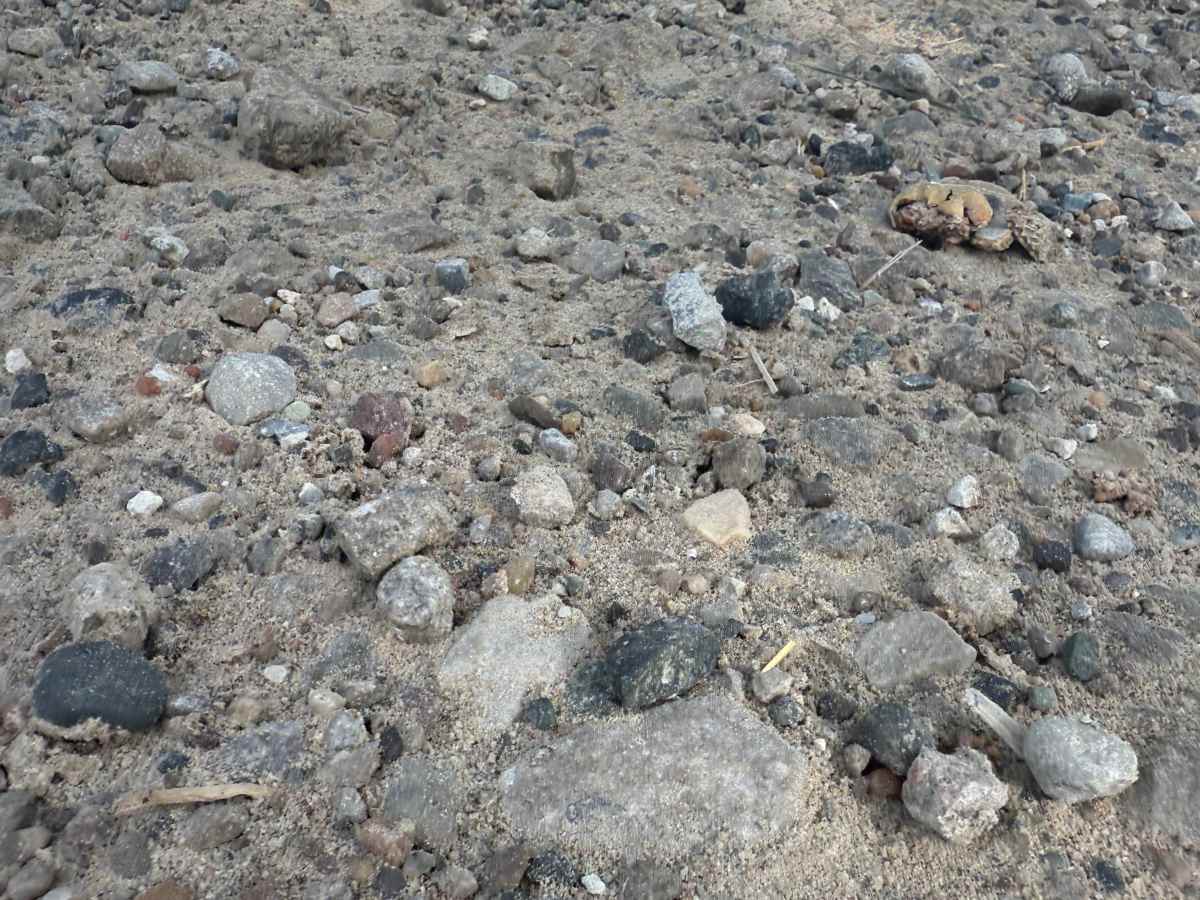 Bently Lake Trail photo 5